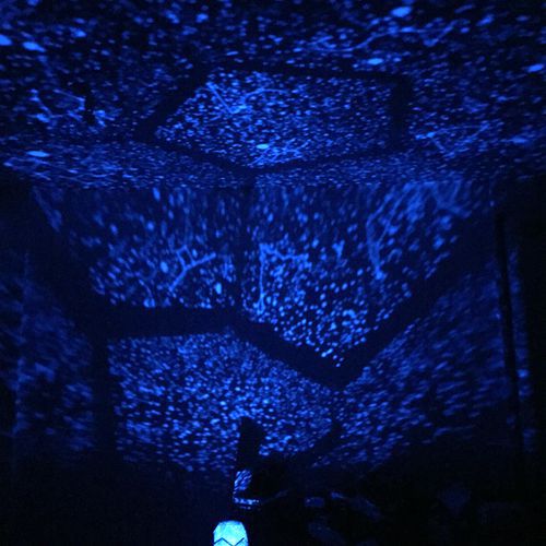 Star Cage Constellation Projector