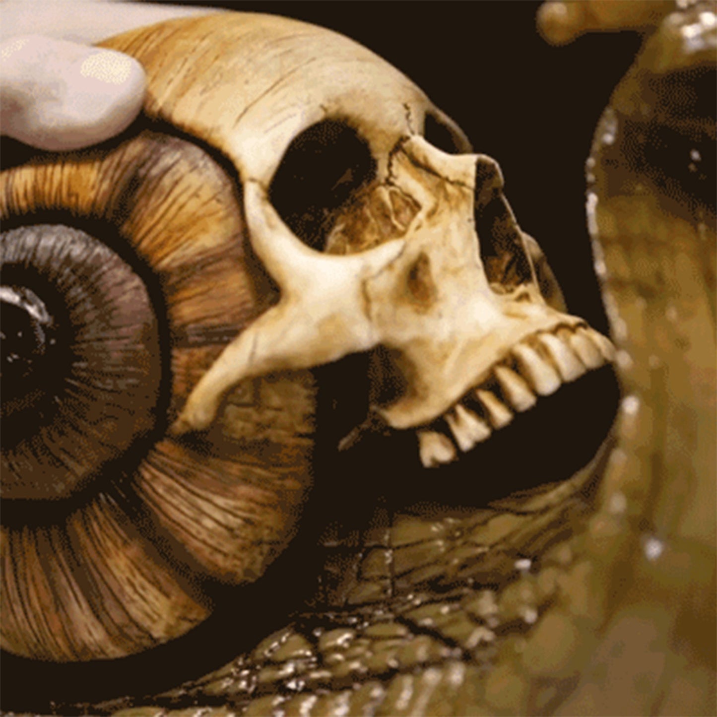 Death's Slow Courier